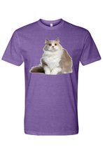Load image into Gallery viewer, Cat Tee
